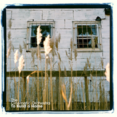 Cover art for To Build a Home by The Cinematic Orchestra