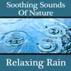 Pro Sound Effects Library - Steady Downpour