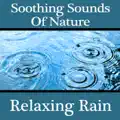  - Rain Gutters