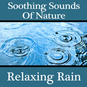 Soothing Sounds of Nature: Relaxing Rain