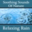 Soothing Sounds of Nature: Relaxing Rain