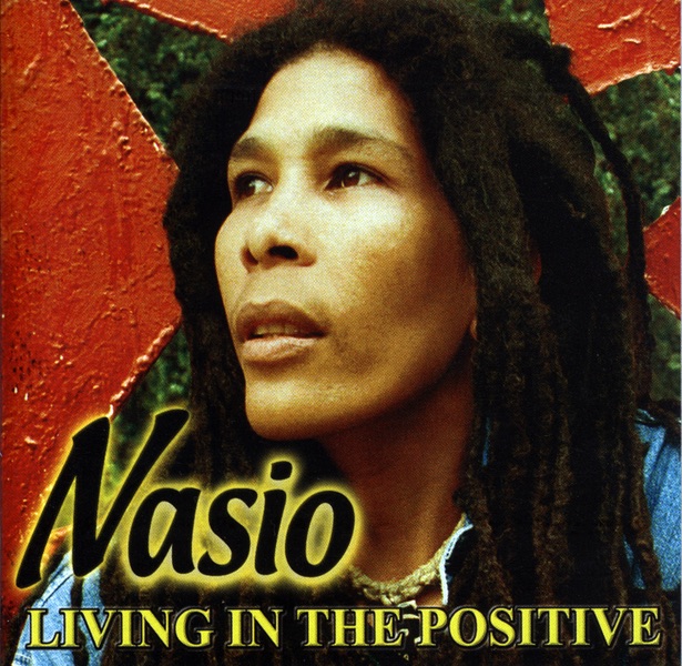 Living In the Positive (Bonus Track Version)