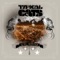 Justice Coming - Typical Cats lyrics
