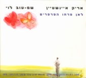 לאן פרחו הפרפרים artwork