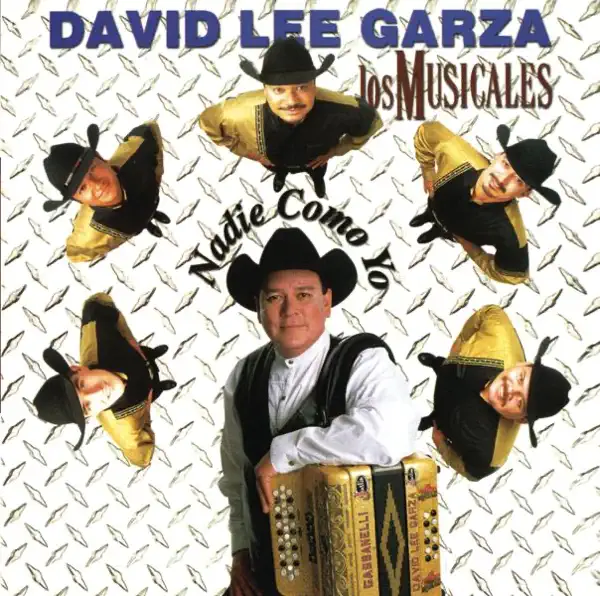 Me Vuelvo a Enamorar — David Lee Garza