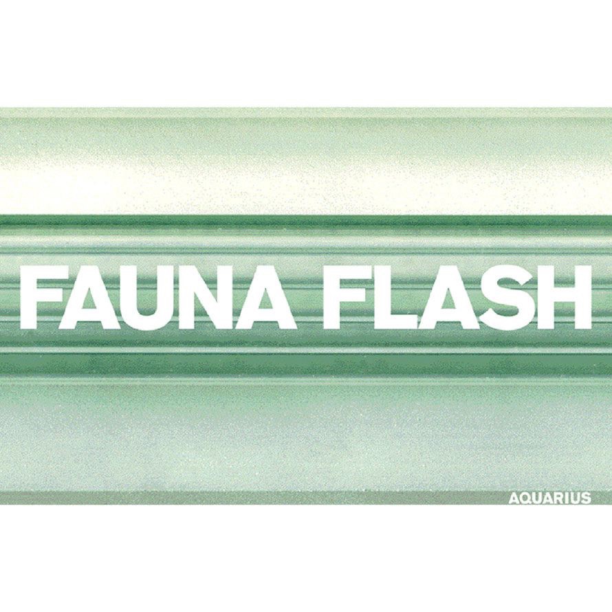 Обложка альбома «Aquarius» — Fauna Flash