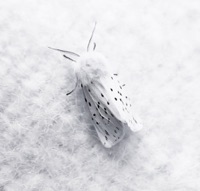 Vi - Single - JJ & J.R.