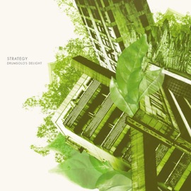 Jazzy's Dilemma Strategy