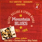 Johnson City Blues