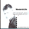 Sugar M. - Wonderful Life (Radio Cut)
