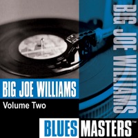 Blues Masters: Big Joe Williams, Vol. 2