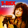T. Rex - Acoustic artwork