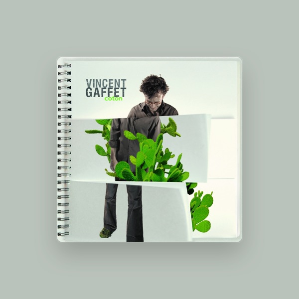 Vincent Gaffet's avatar