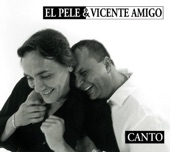 El Pele & Vicente Amigo - Canto (Alegrías)