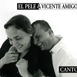 Canto - Vicente Amigo Canto - Vicente Amigo