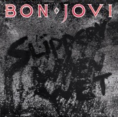 Bon Jovi - You Give Love a Bad Name