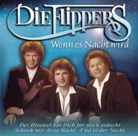 Wenn es Nacht wird — Die Flippers