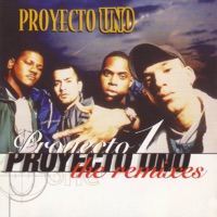 The Remixes - Proyecto Uno