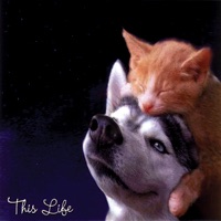 Cats and Dogs - Manual Override