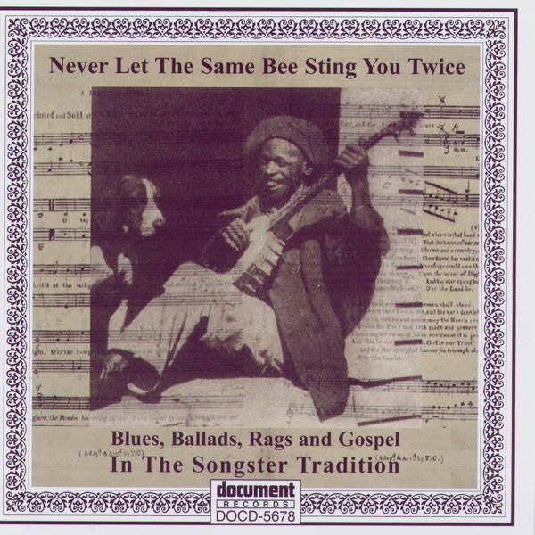 Never Let the Same Bee Sting You Twice - Blues, Ballads, Rags & Gospel In the Songster Tradition