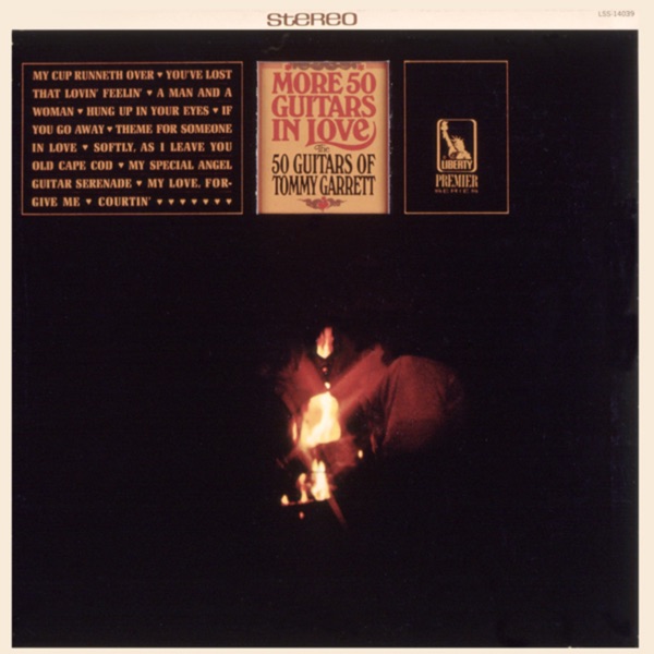 More 50 Guitars In Love