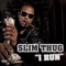 I Run - Slim Thug lyrics