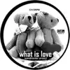 WHAT IS LOVE '07