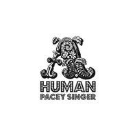 Pacey Singer (Ocelot Remix) — A Human