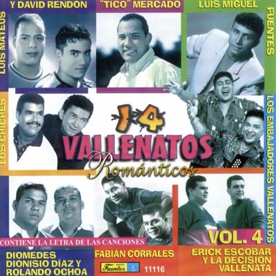 14 Vallenatos Romanticos, Vol. 4