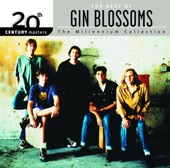 20th Century Masters - The Millennium Collection: Gin Blossoms