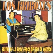 Los Aguaceros de Mayo artwork