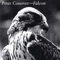 Burning Times (C. Murphy) - Peter Conover lyrics