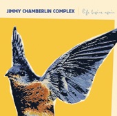 Jimmy Chamberlin Complex - Newerwaves