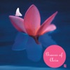 Jiang Xiao-Qing - Cosmos (From "Breathing Spaces")