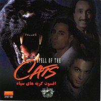 Spell of the Cats - Afsoone Gorbehaye Siah - Black Cats