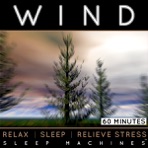 Wind