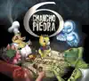 animales disfrazados