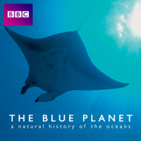 Blue Planet - Blue Planet, Series 1 artwork