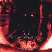 Redifining the End - Flatline
