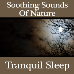 Soothing Sounds of Nature: Tranquil Sleep - Pro Sound Effects Library Cover Art