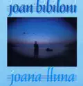 Joan Bibiloni