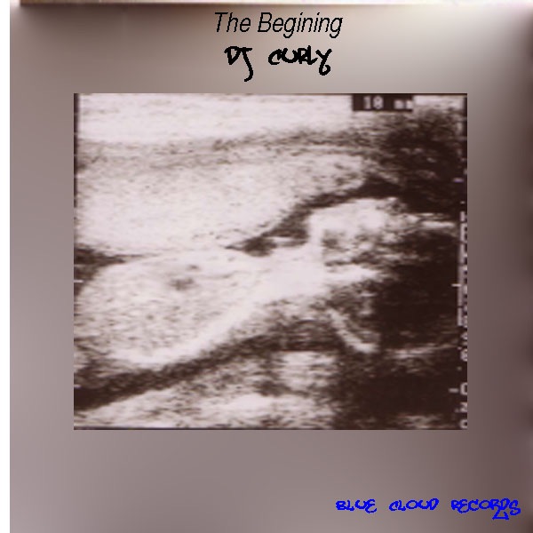 The Begining