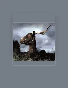 聆聽 Tue-Loup、觀看音樂影片、閱讀小傳、查看巡演日期等！