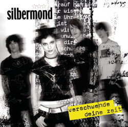 Verschwende deine Zeit - Silbermond Cover Art