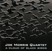 A Cloud of Black Birds - Joe Morris Quartet
