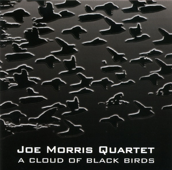 A Cloud of Black Birds