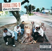 Jurassic 5 - Swing Set