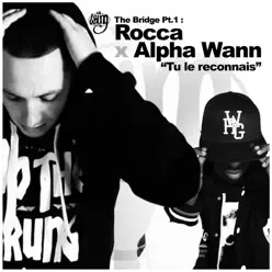 Tu Le Reconnais - Single - Alpha Wann Tu Le Reconnais - Single - Alpha Wann