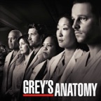 Grey's Anatomy, Season 7 (subtitled)