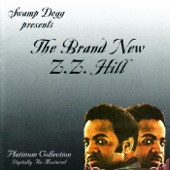 The Brand New ZZ Hill